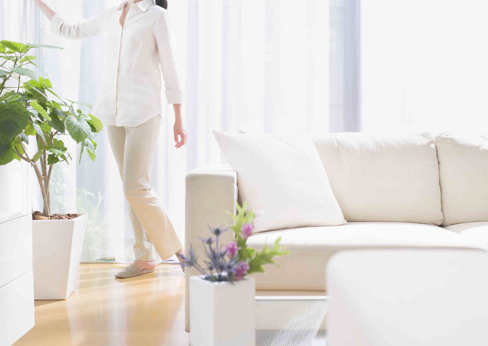 How to make your family's indoor air at home as fresh as a walk in the park