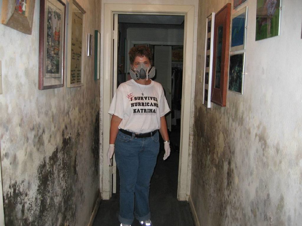 mold from floods